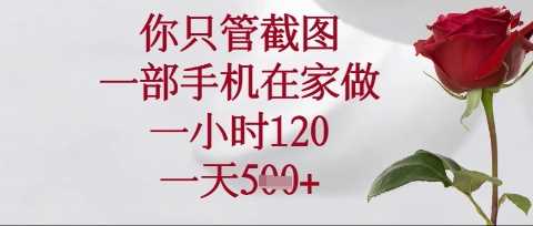 你只管截图,一部手机在家操作,一小时120.一天5张【揭秘】
