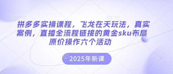 拼多多实操课程,飞龙在天玩法,真实案例,直播全流程链接的黄金sku布局*操作六个活动