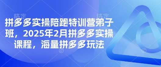 拼多多实操陪跑特训营*班,2025年2月拼多多实操课程,海量拼多多玩法