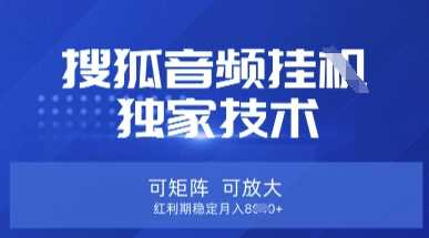 【搜狐音频挂G】*技术,可矩阵可放大,红利期稳定月入8k【揭秘】
