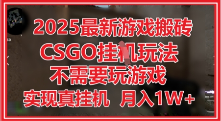 2025*游戏搬砖,CSGO挂G,不需要玩游戏,实现真挂G,月入1W+【揭秘】