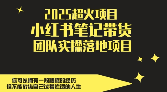 2025超火项目,副业*选择,小红书笔记带货团队实操落地项目,,轻松日入5张