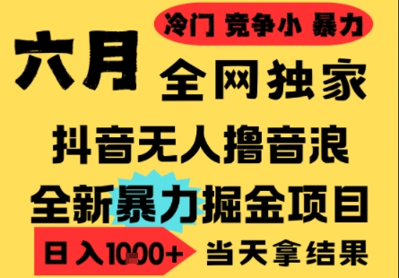 25年6月高爆抖音无人直播*撸音浪掘金项目,小白可做,无脑日入1k+,门槛低可批量矩阵【揭秘】