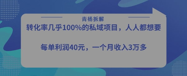 转化率*的私域项目,每单利润40-50米,月入过1w