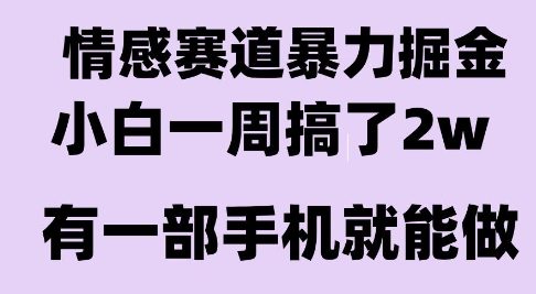 情感*掘金项目,新人操作一周挣了2W,长期稳定小白可做【揭秘】