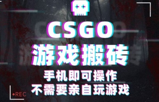 CSGO游戏挂G捡漏,单日扫货5张+,年底小高峰上车可吃肉,手机即可操作,*副业创业网创【揭秘】