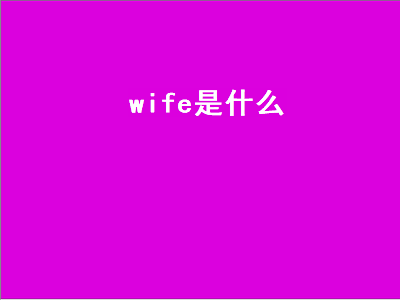 wife是什么（wife是什么意思）-星创副业